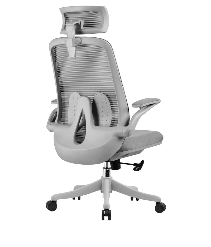 Ergonomic Office Chairs: One of the Most Popular Accessories in Modern –  Innowin Furniture